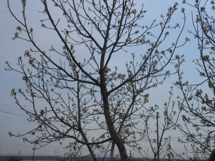 照片 980.jpg