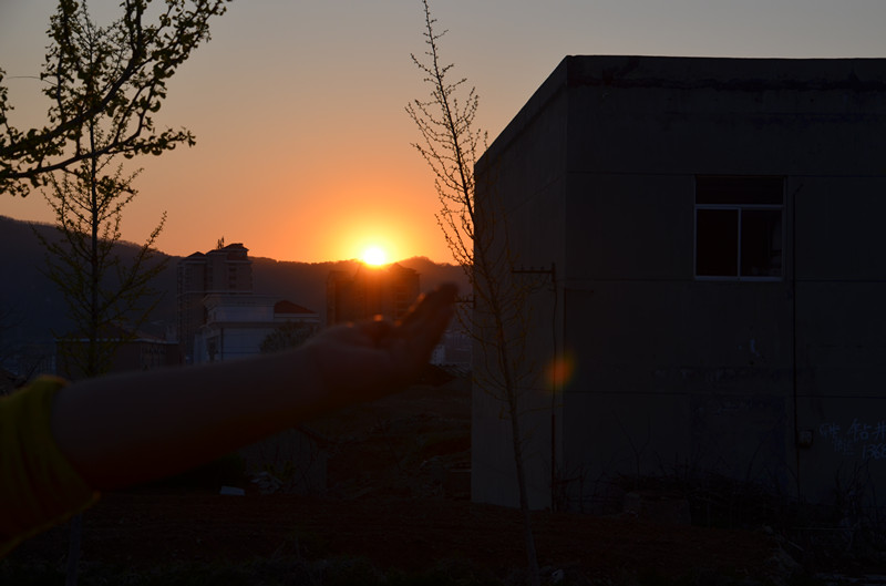 DSC_2208_副本.jpg
