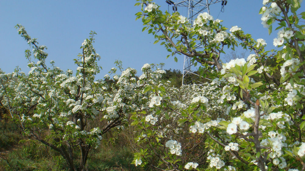 nEO_IMG_DSC03104.jpg