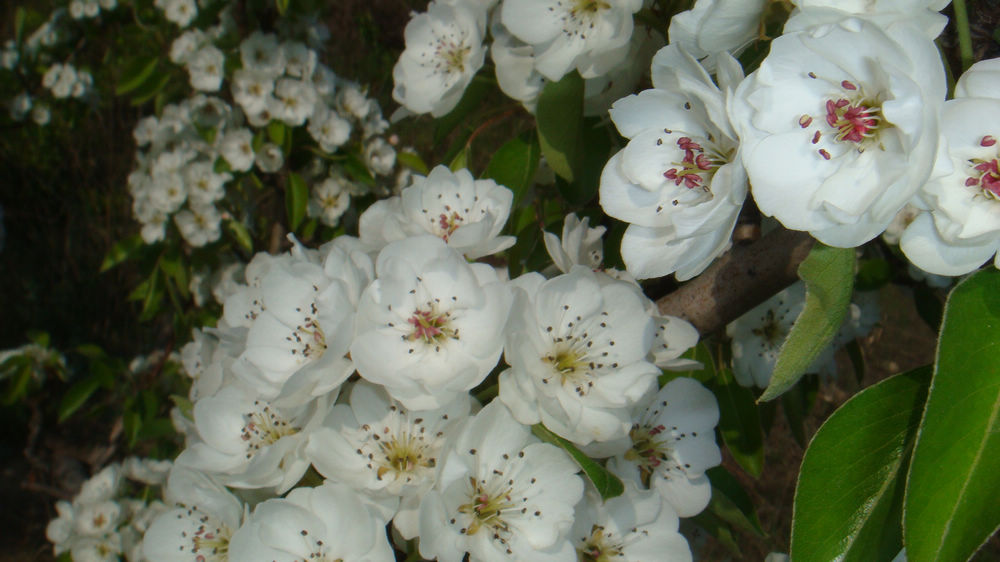 nEO_IMG_DSC03106.jpg