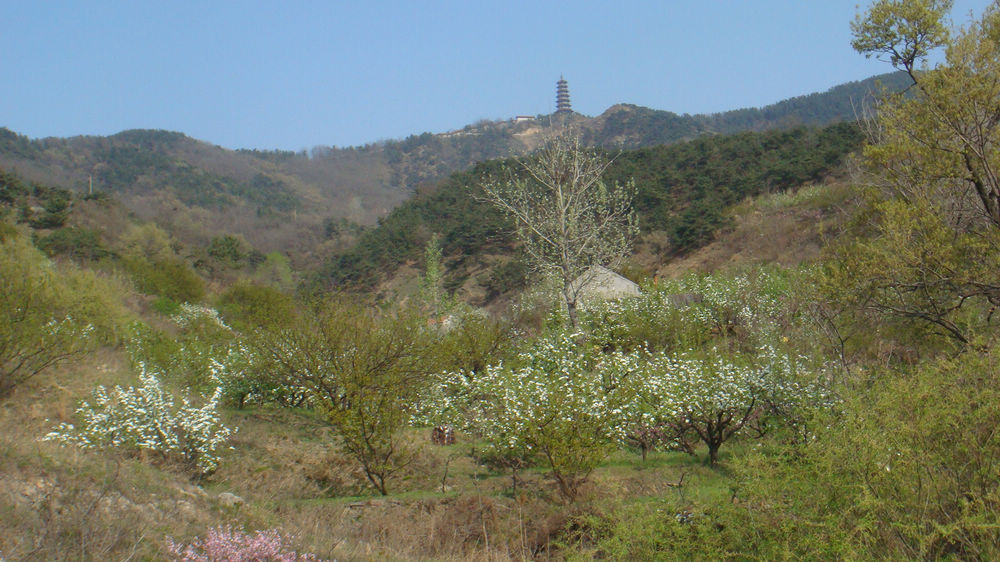 nEO_IMG_DSC03100.jpg
