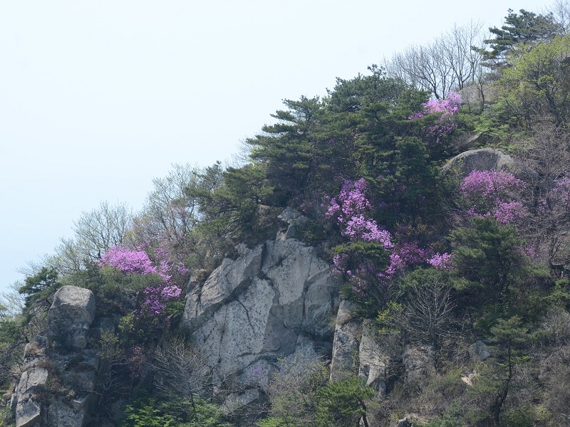 PhotoCap_096.jpg