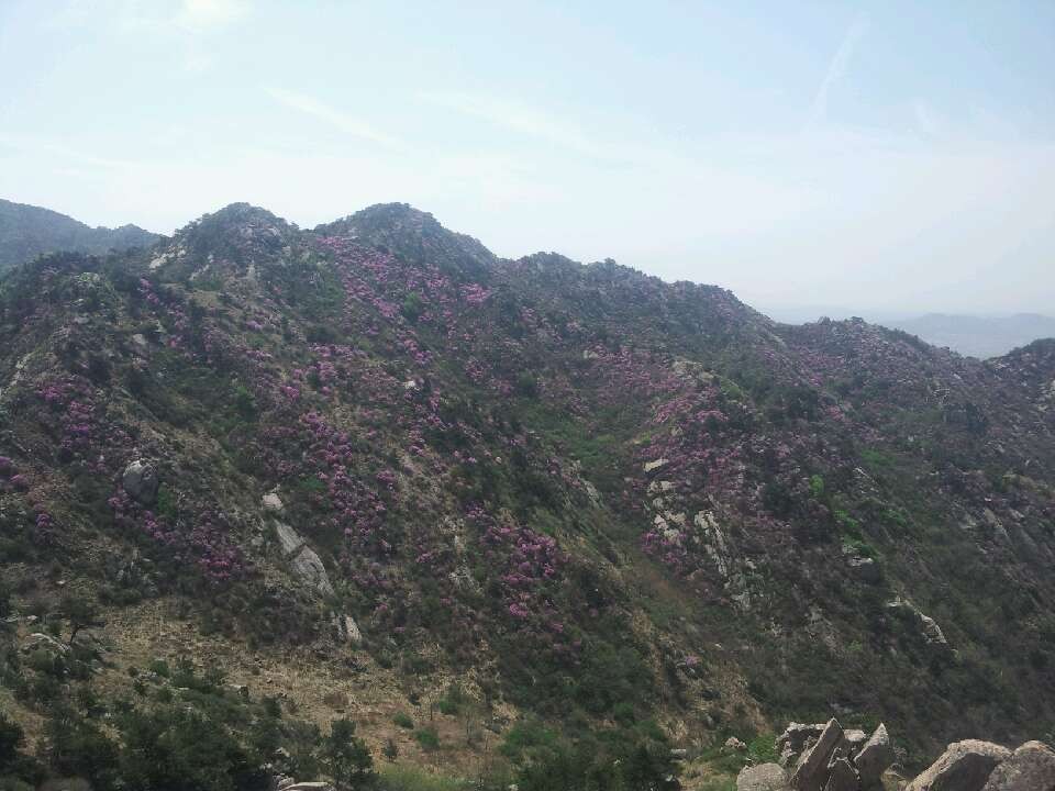 未命名.jpg