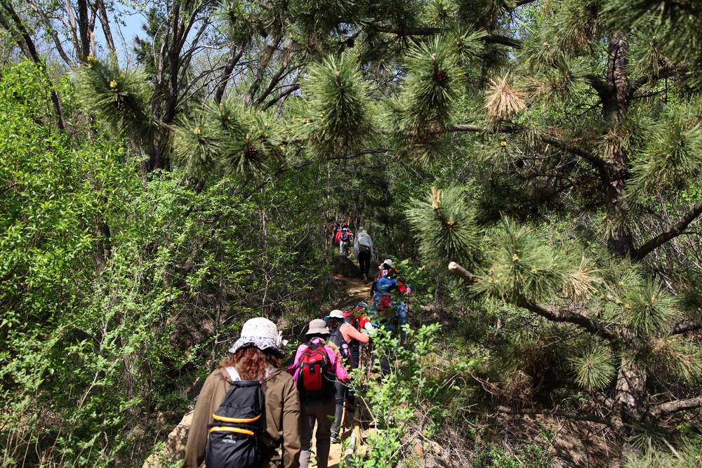 5,11走大南山 019.jpg