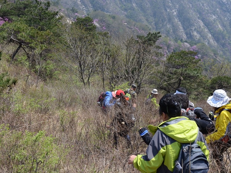 PhotoCap_120.jpg