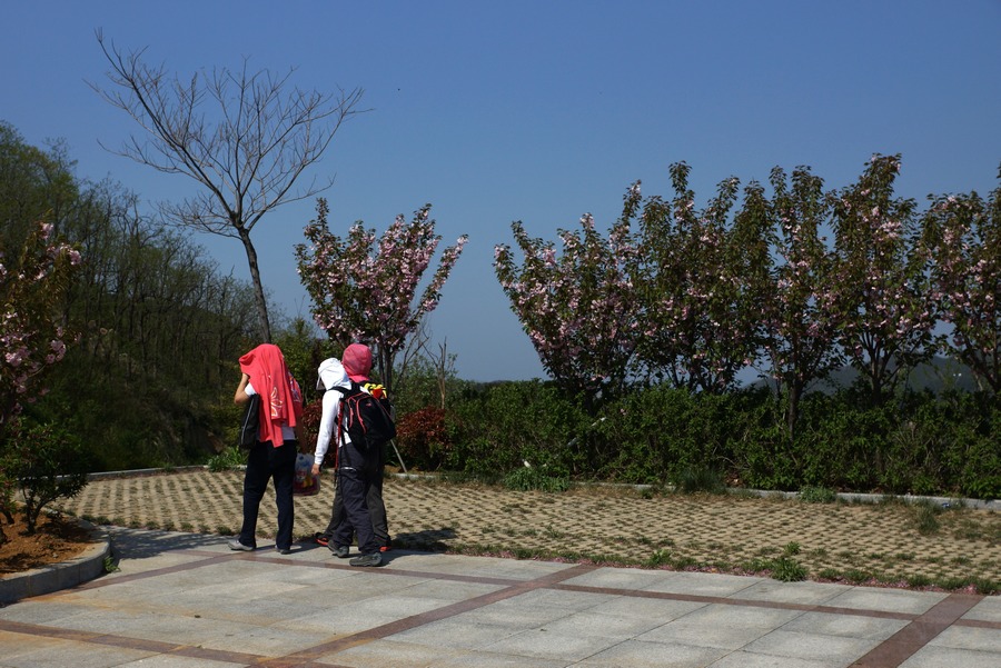 nEO_IMG_DSC07705.jpg