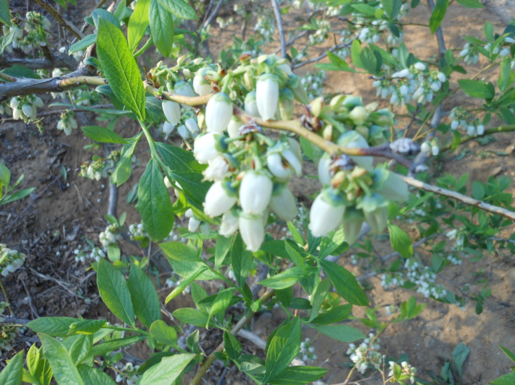 照片 1400.jpg