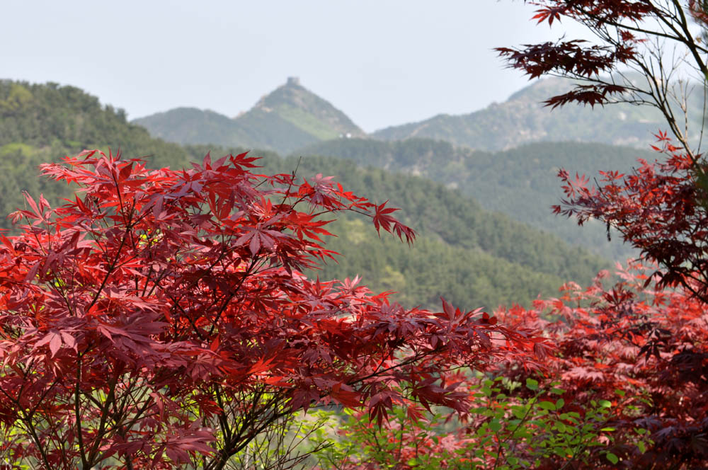 DSC_0238副本.jpg
