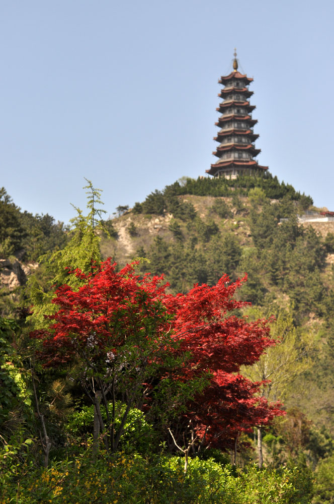 DSC_0368副本.jpg