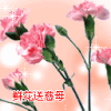 鲜花.gif