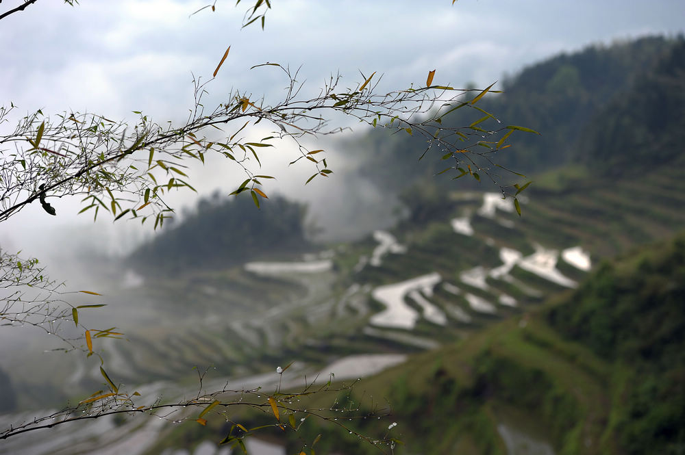 丽水行 (15).jpg