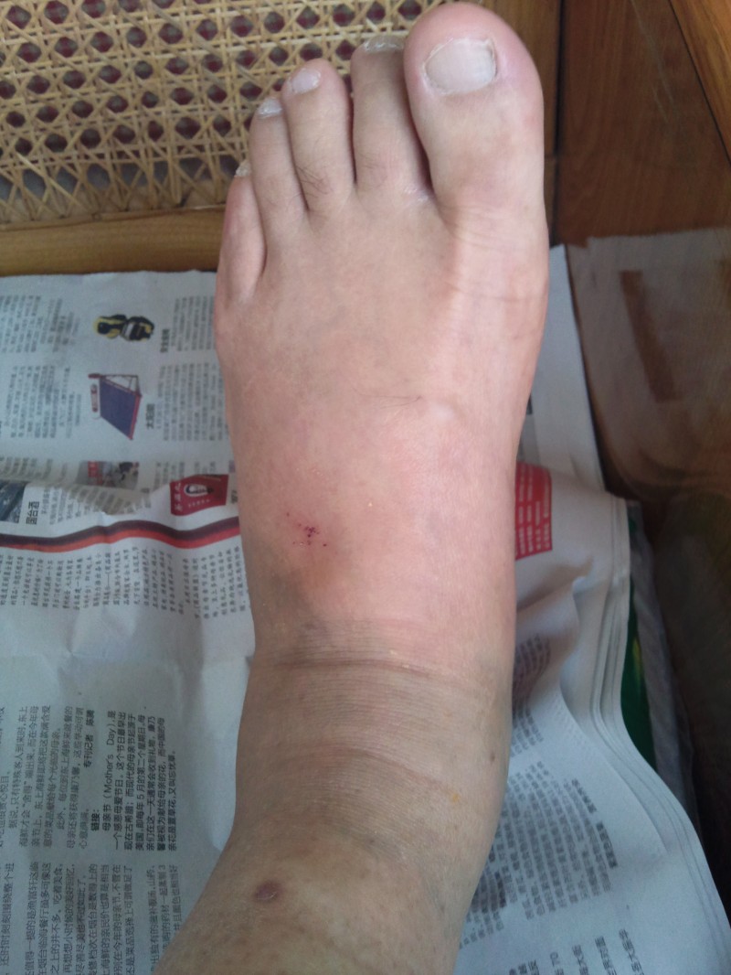 conew_照片258.jpg
