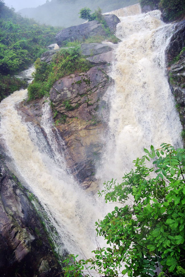 DSC_3558_副本_副本.jpg
