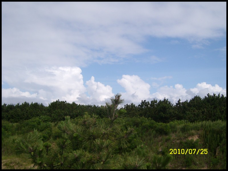 conew_14853_1280898076_xa1drd0tpymuban.jpg