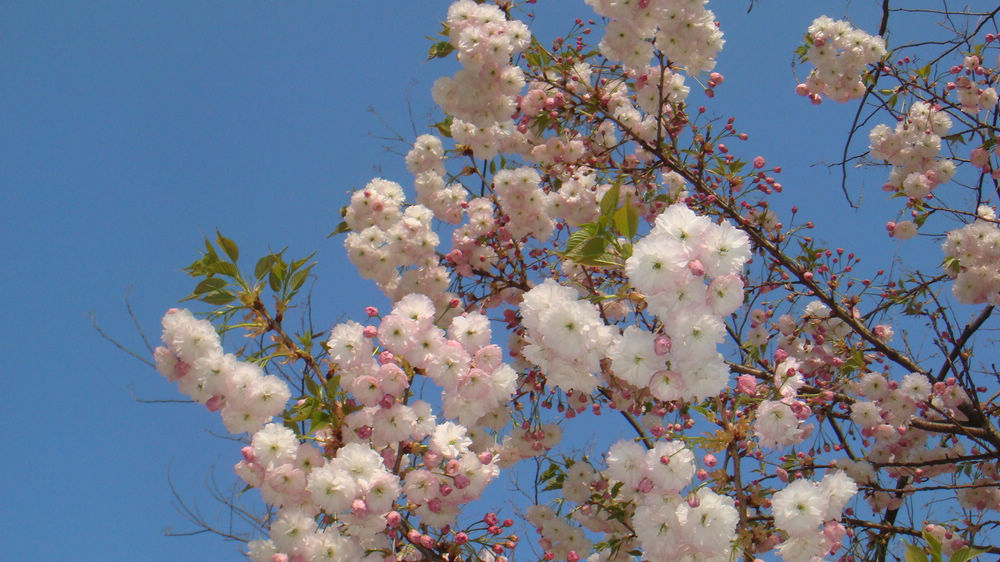 nEO_IMG_DSC03116.jpg