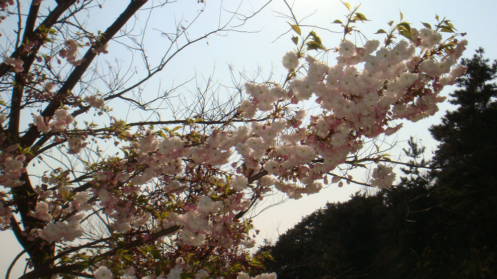 nEO_IMG_DSC03115.jpg