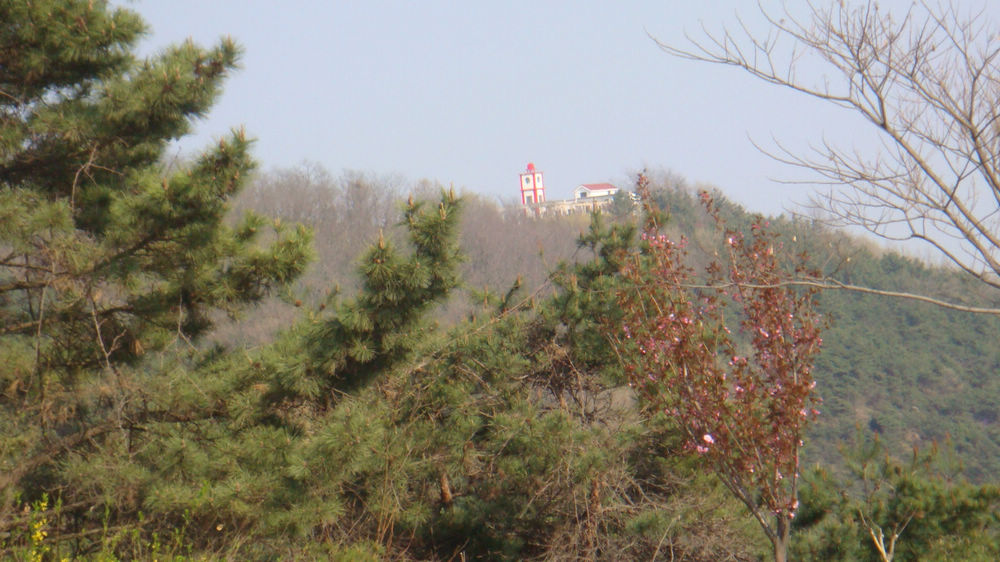 nEO_IMG_DSC03114.jpg