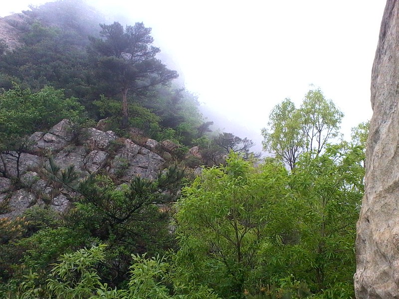 山脊雾景