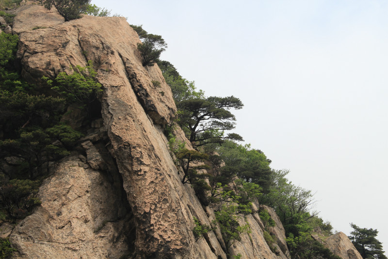 还是怪石