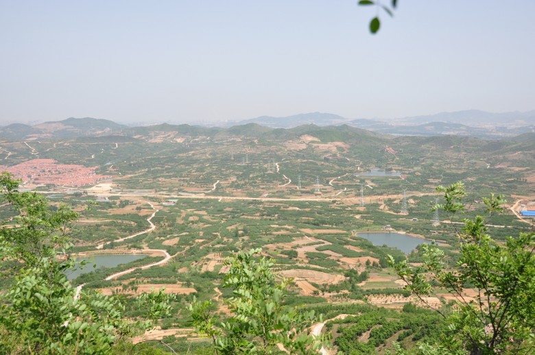 照片 853_conew1.jpg