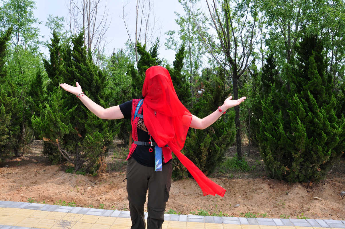 nEO_IMG_DSC_9533.jpg