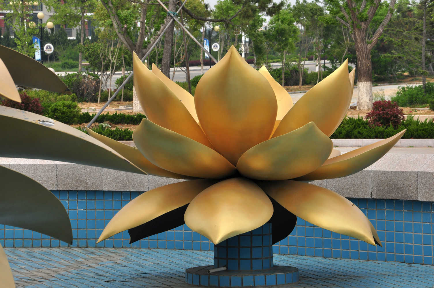 nEO_IMG_DSC_9543.jpg