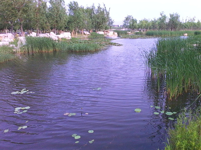 psb (27).jpg