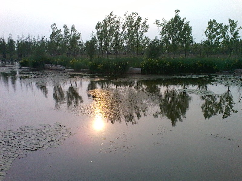 倒映在水里的夕阳非常炫丽