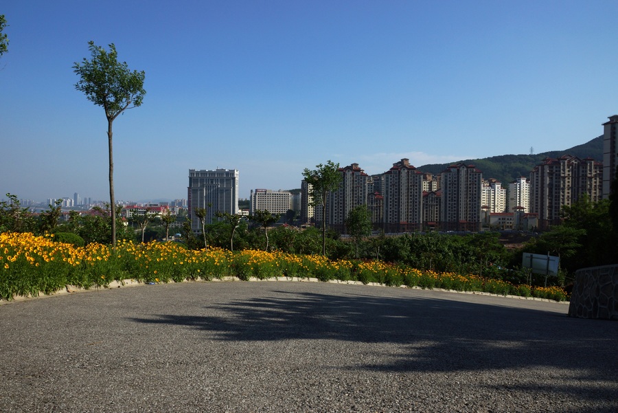 nEO_IMG_DSC08430.jpg