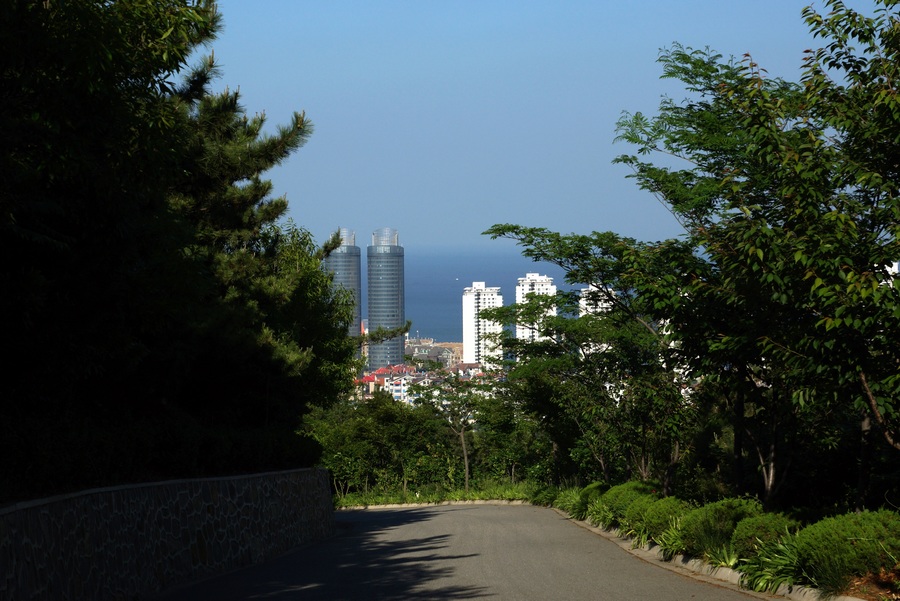 nEO_IMG_DSC08439.jpg