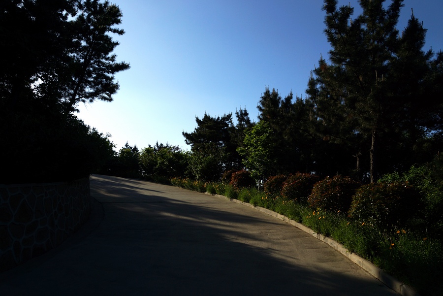 nEO_IMG_DSC08455.jpg