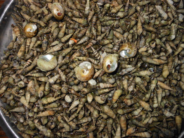 照片 529.jpg