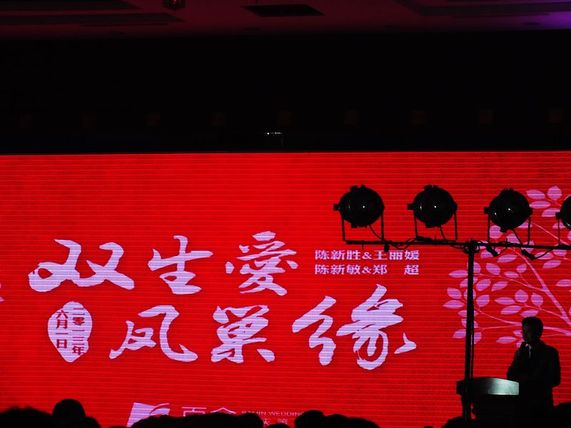 今天的主题-----双生爱，凤巢缘