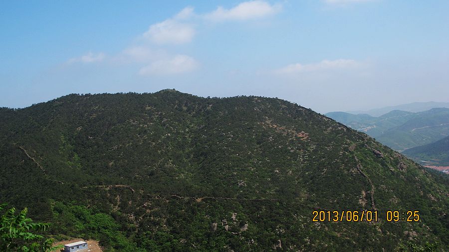 IMG_9806.jpg