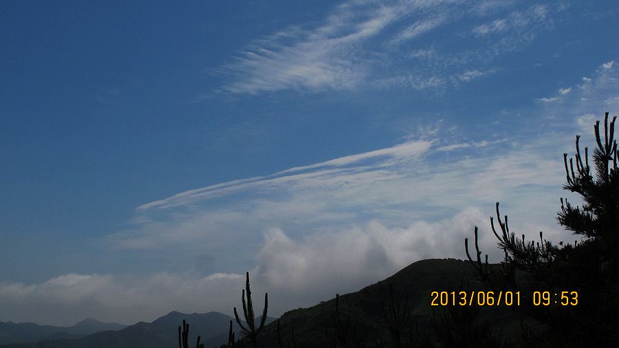 IMG_9815.jpg