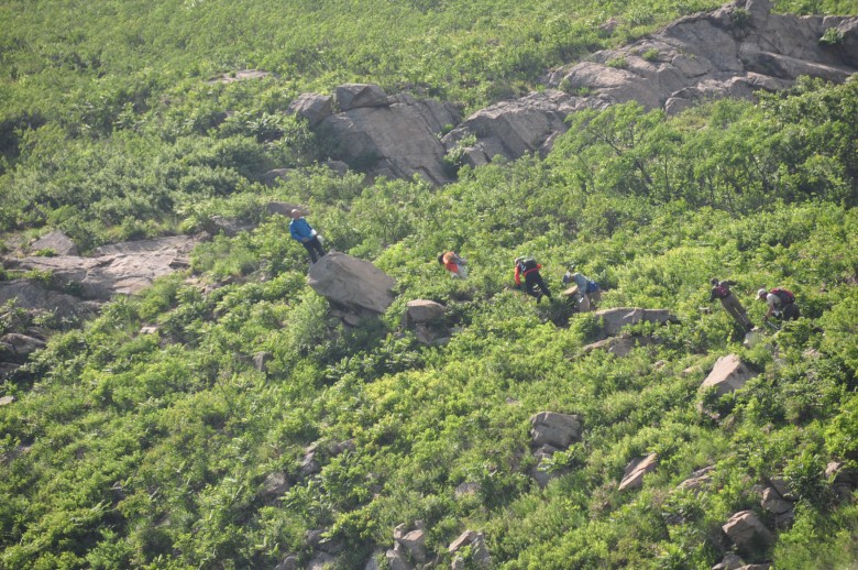 照片 299_conew1.jpg