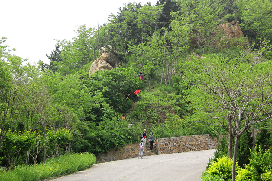 六一大南山 186_副本.jpg