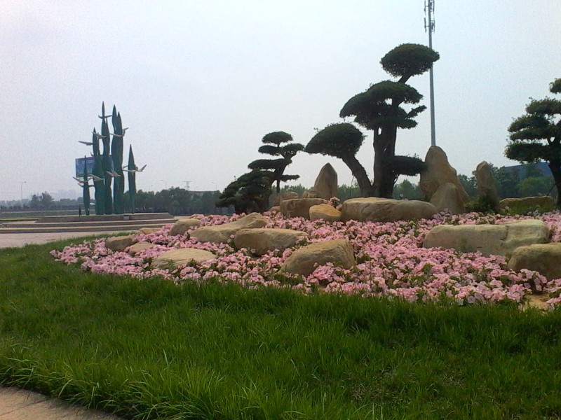 psb (31).jpg