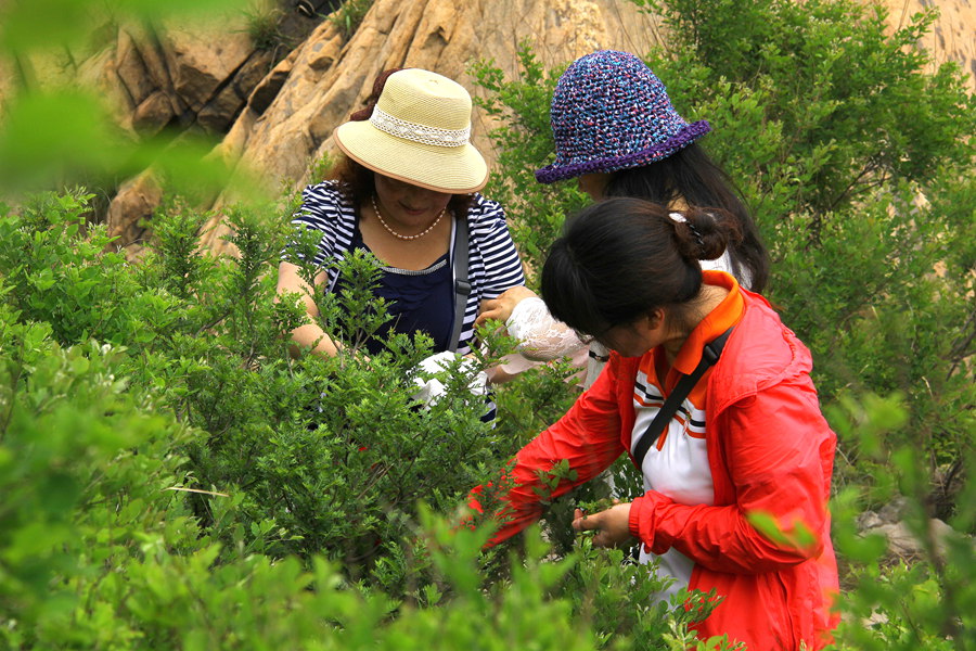 六一大南山 264_副本.jpg