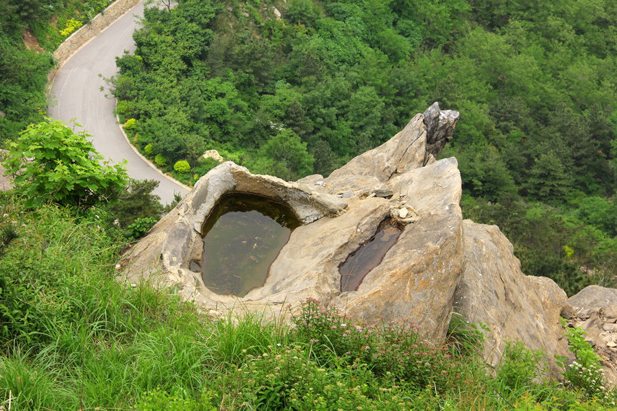 六一大南山 256_副本.jpg