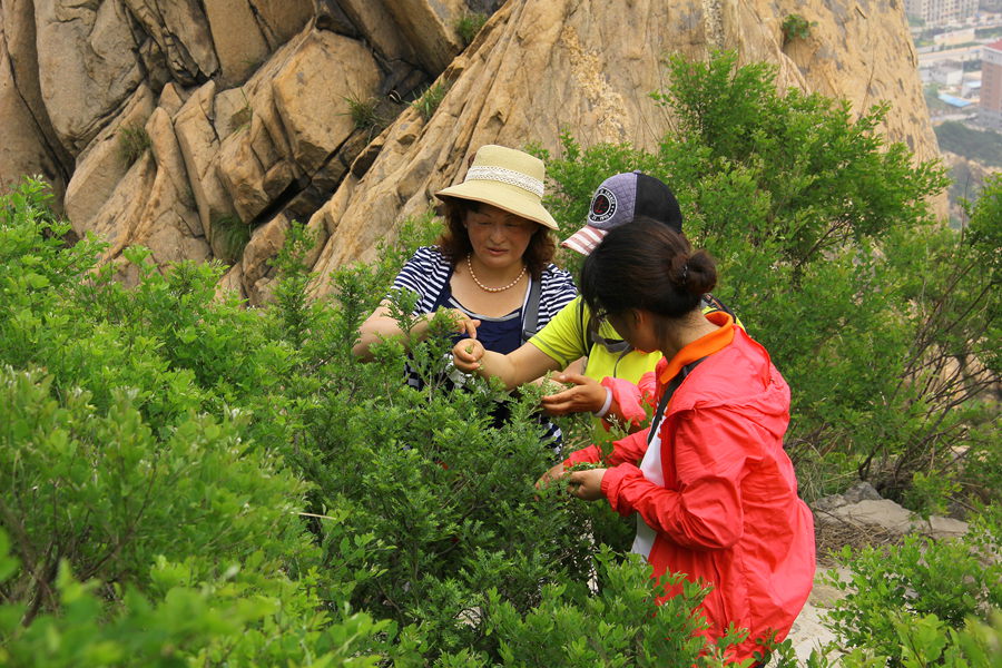 六一大南山 266_副本.jpg