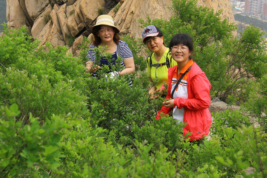 六一大南山 267_副本.jpg
