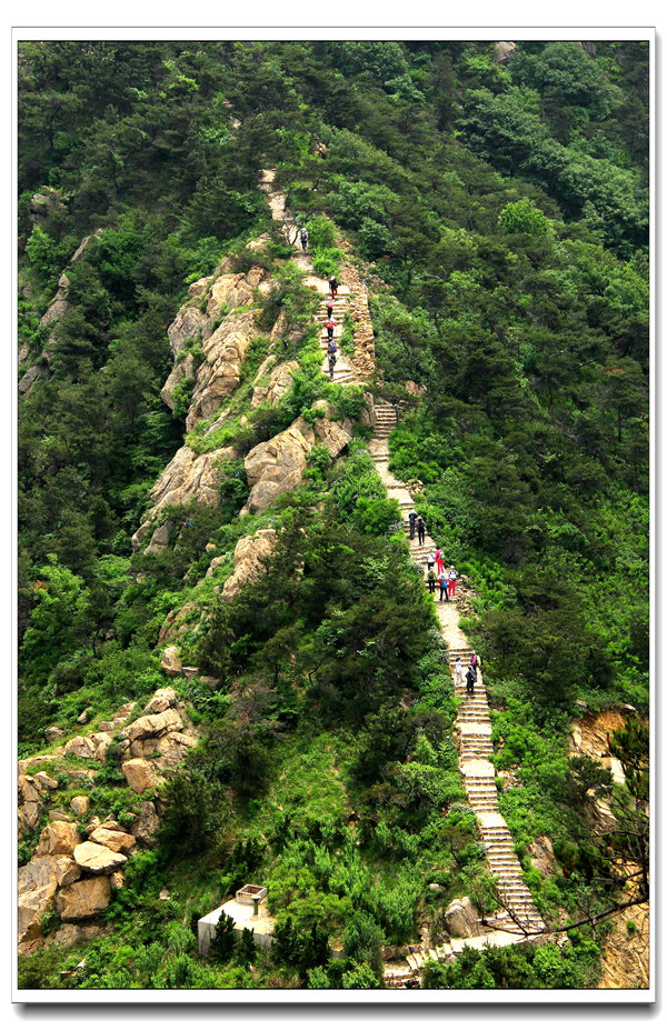 六一大南山 271_副本.jpg