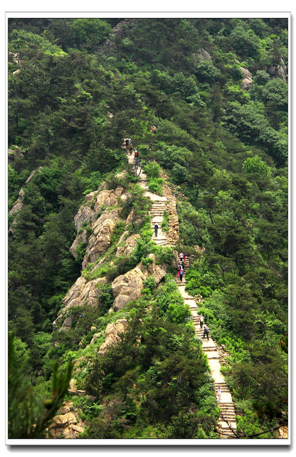 六一大南山 273_副本.jpg