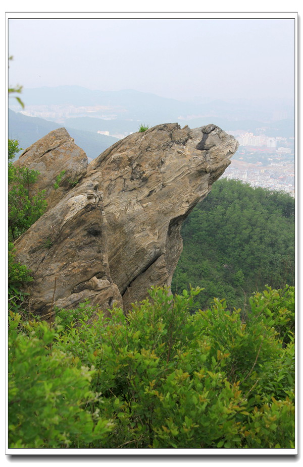 六一大南山 275_副本.jpg