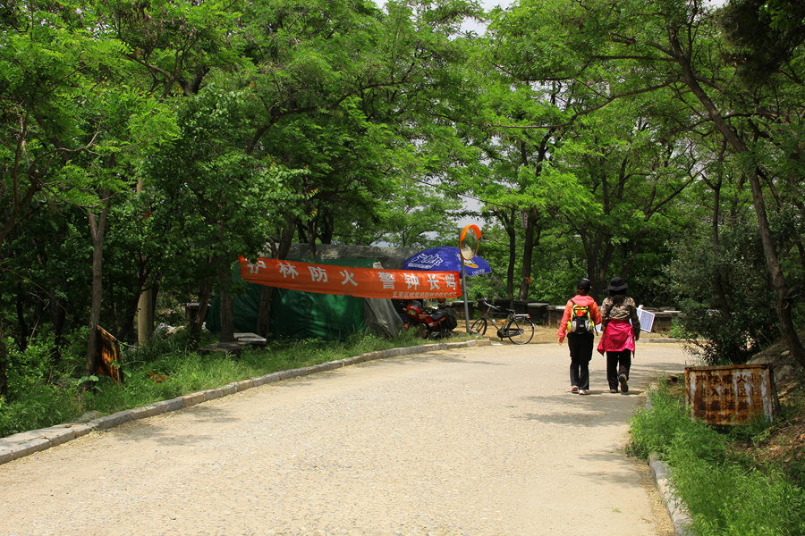 六一大南山 315_副本.jpg