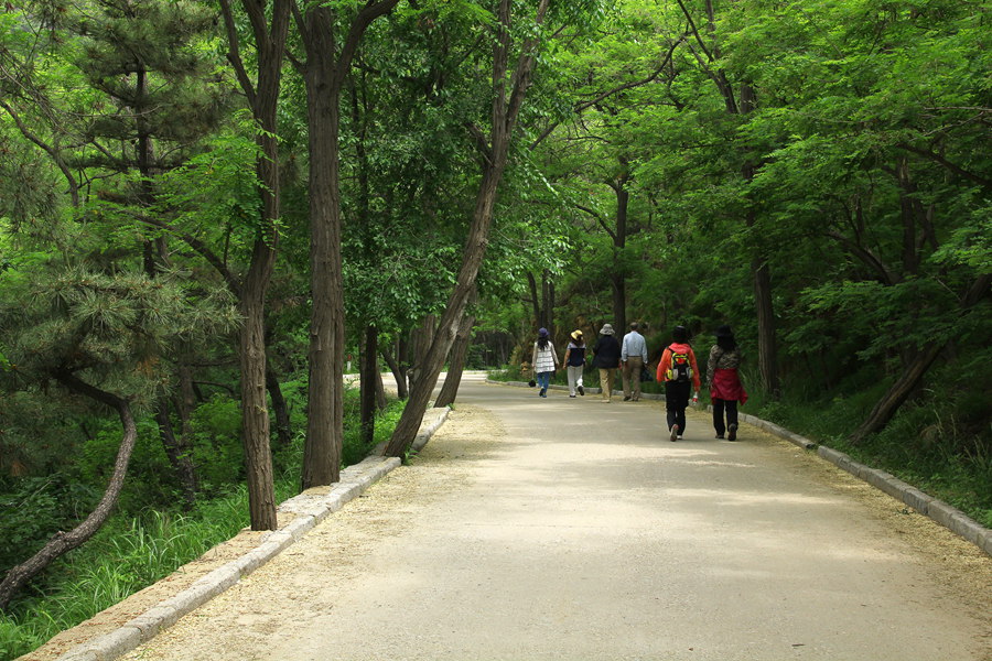 六一大南山 316_副本.jpg