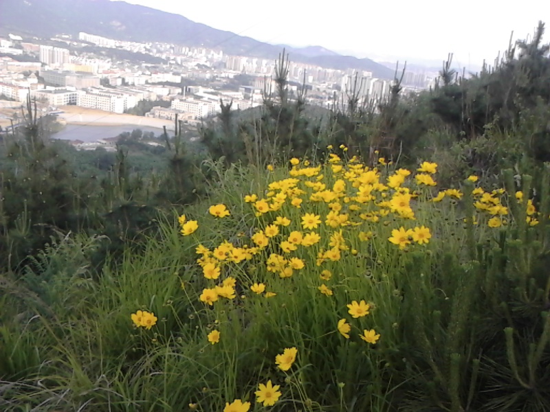 IMG_20130606_180522.jpg