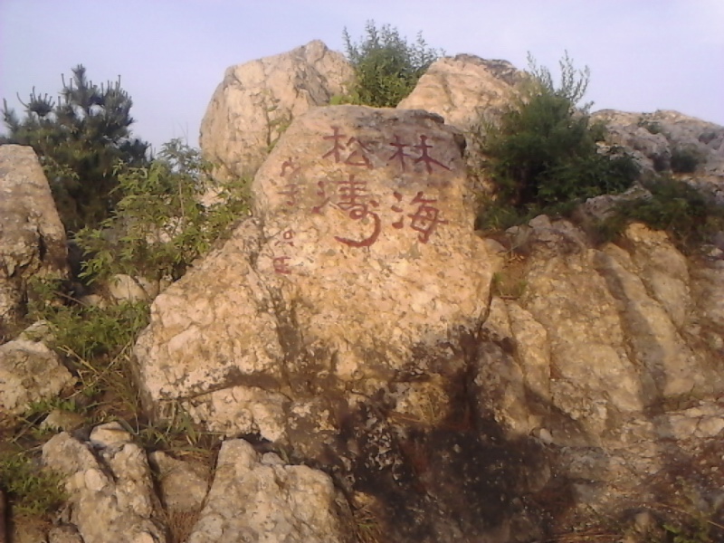 IMG_20130606_182235.jpg