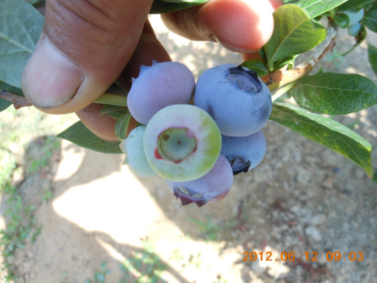 DSCN0713.jpg